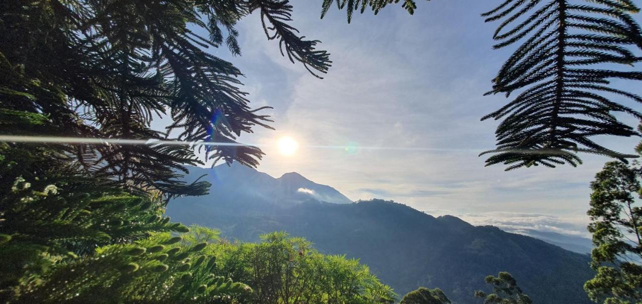 Mount Valley Resort - A Secluded Getaway Munnar Exterior photo